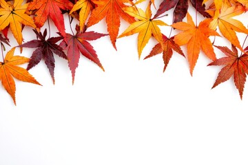 Autumn Maple Leaves Flat Lay White Background created with Generative AI