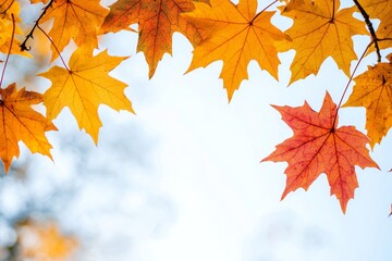 Obraz premium Autumn Maple Leaves Flat Lay White Background created with Generative AI