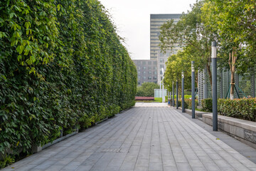 Background texture of a modern urban park with a straight pathway or walking path made of stone slabs lined by tall hedges and modern lampposts. Public parkland with modern design.Copy space