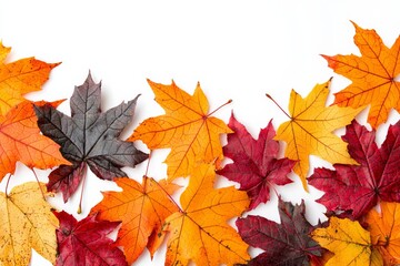 Fototapeta premium Autumn Maple Leaves Flat Lay White Background created with Generative AI