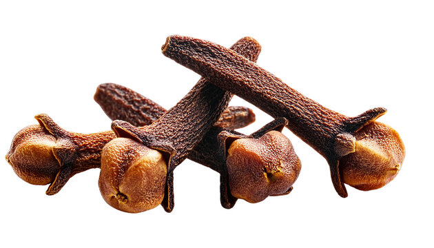Clove spice isolated on transparent background.