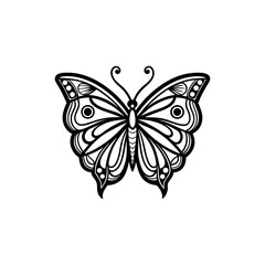 butterfly line art vector