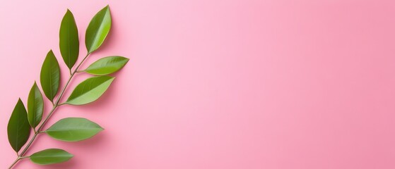 A vibrant green leaf branch against a soft pink background, perfect for design, nature themes, and backgrounds.