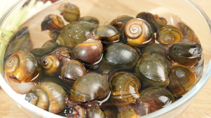 Live Snails Soaking in a Glass Bowl - Fresh Ingredients for Vietnamese Cooking
