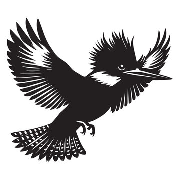 recommend clip art: Belted Kingfisher silhouette - Megaceryle Alcyon Clipart - Belted Kingfisher flying illustration in black and white