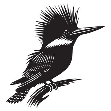 recommend clip art: Belted Kingfisher silhouette - Megaceryle Alcyon Clipart - Belted Kingfisher head feathers raised  illustration in black and white