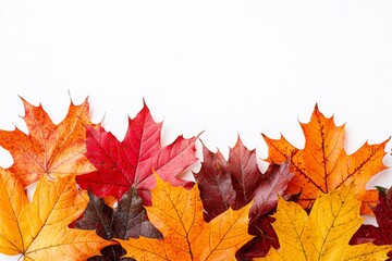 Fototapeta premium Autumn Maple Leaves Flat Lay White Background created with Generative AI