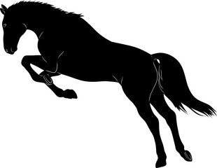 Fototapeta premium horse black silhouette vector element