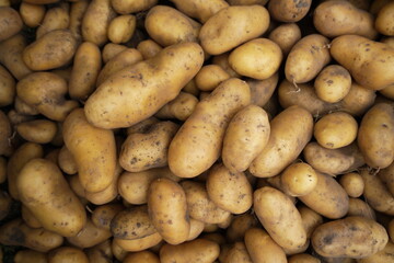 A close-up image of freshly harvested, unpeeled potatoes with visible soil marks, showcasing their natural, earthy texture and organic state.