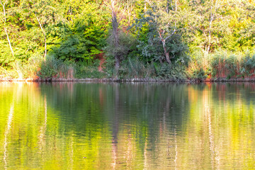 Colorful autumn trees reflected in water