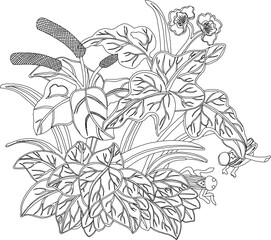 Vector sketch, illustration, silhouette, design, frame, background, pattern, natural floral ornament, classic vintage, ethnic, traditional Chinese