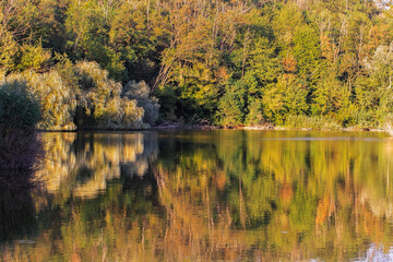 Obraz premium Colorful autumn trees reflected in water