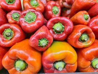 Capsicum annuum, llamado comúnmente pimiento morrón, pimiento dulce, chile morrón, ají morrón, ají dulce, locote o en algunos países pimentón, .