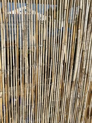 background of striped bamboo texture