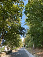 beautiful path in the park