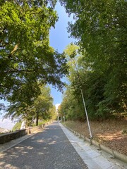 beautiful path in the park