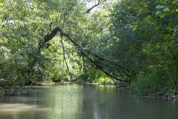 Bach in einer Schlucht in Rum&auml;nien