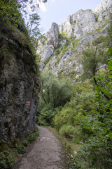 Wanderweg in der Schlucht in Rumänien