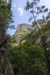 Schlucht in Rumänien