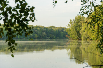 lake in the forest. Reflection of trees in the lake. 