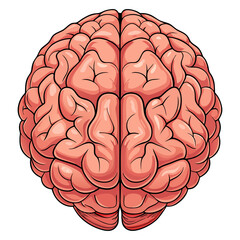 simple flat style human brain vector illustration, Brain or mind side outline, human brain icon.