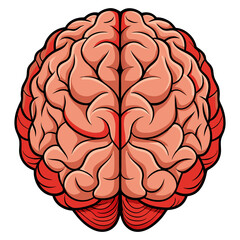 simple flat style human brain vector illustration, Brain or mind side outline, human brain icon.