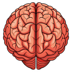 simple flat style human brain vector illustration, Brain or mind side outline, human brain icon.