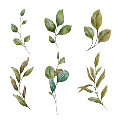 Hand-Painted Watercolor foliage Leaf Branches vector, isolated on white background