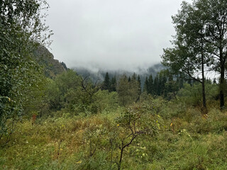 mountains, river, wood, trees, view, smoke