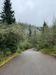 mountains, river, wood, trees, view, smoke
