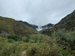 mountains, river, wood, trees, view, smoke