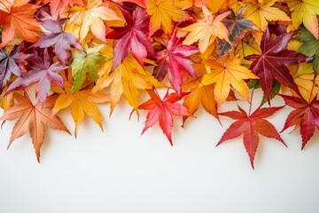 Autumn Maple Leaves Flat Lay White Background created with Generative AI