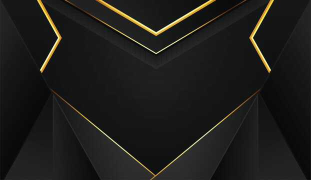 Shiny luxury elegant Background Design with lines element background black and white gradient futuristic wallpaper template shiny lines frame vector illustration.