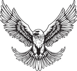 Obraz premium Soaring Eagle: A Powerful Vintage-Style Vector Illustration