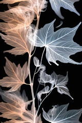 Transparent leaf image on black background, illustration, creative design for background texture of wallpaper, textile, greeting card, poster or banner.