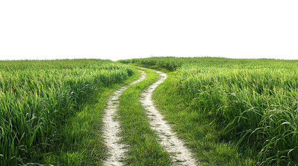 Countryside road in lush grassy landscape, cut out