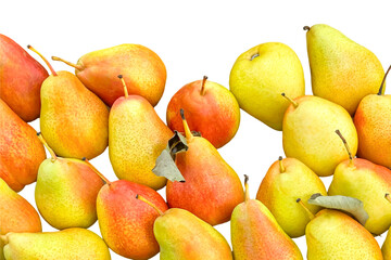 Fresh organic pears in vibrant shades of yellow and red on transparent background. Concept of sustainable agriculture, healthy eating, and farm-to-table produce