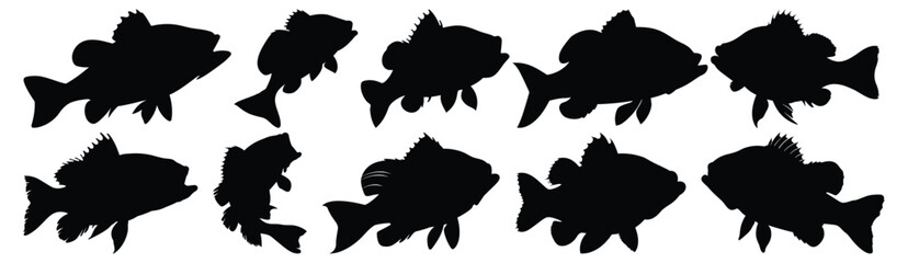 Fish silhouettes set, aquatic pack of vector silhouette design, isolated background
