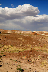 Harsh Landscape Petrified Forest National Park Arizona
