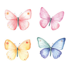 Obraz premium A collection of beautifully designed butterflies showcasing delicate wings in pastel colors, perfect for decorative purposes.