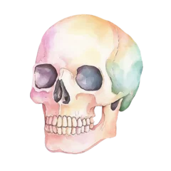 A vibrant watercolor skull illustration, perfect for artistic projects, Halloween themes, or medical designs.