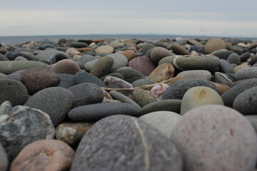 stones on the beach