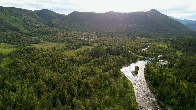 Slow cinematic forward aerial of Norway conifer forest with river in sunset