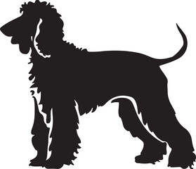 Afghan Hound Standing Silhouette Vector