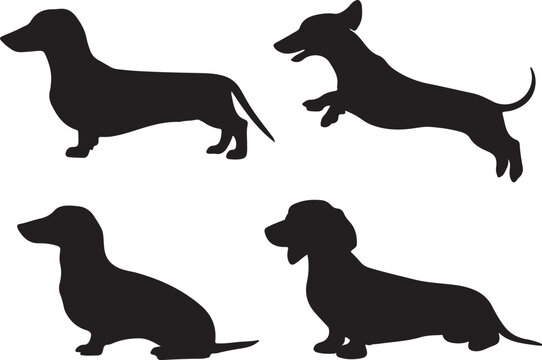 Dachshund Dog Silhouette Vector Bundle