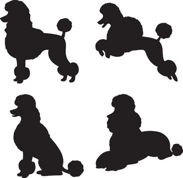 Poodle Dog Silhouette Vector Bundle