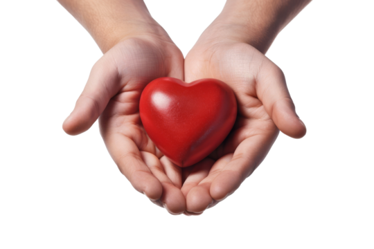 Hands holding a red heart symbolizing love, care, and compassion. Perfect for themes of emotional connection and relationships. isolated on a white background, transparent background.