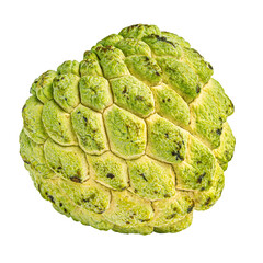 Cutout ripe green custard apple fruit
