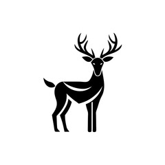 deer illustration