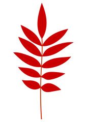 ハゼノキの葉　イラスト